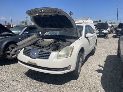 Catalog item POM063813