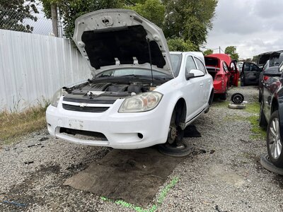 Catalog item SAC048713