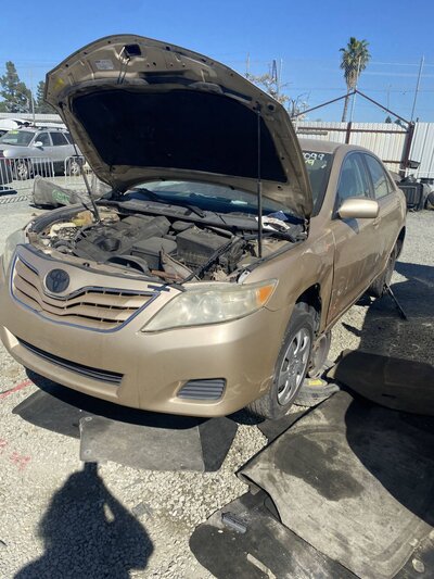 Catalog item SAC047433