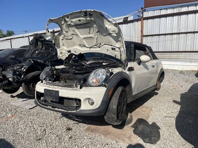 Catalog item POM063456