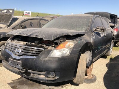 Catalog item FRE111685