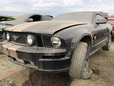 Catalog item FRE110324