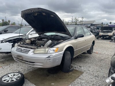 Catalog item POM063647