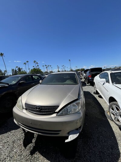 Catalog item SAC048111