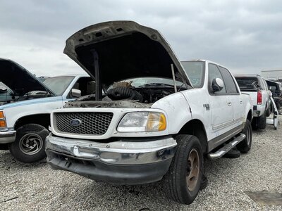 Catalog item POM063571