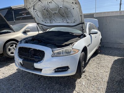 Catalog item POM064098