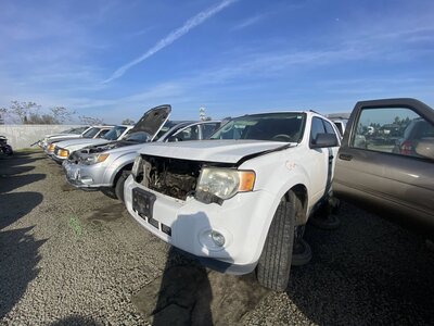 Artículo del catálogo SAC046124