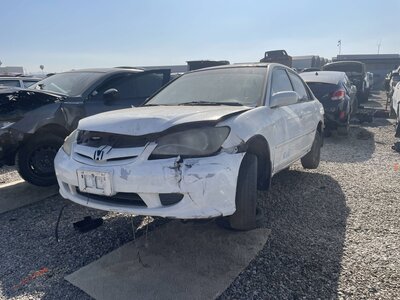 Catalog item POM063305