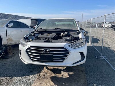 Catalog item STK055135