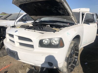 Catalog item FRE111448