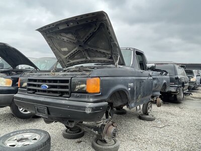 Catalog item POM063526