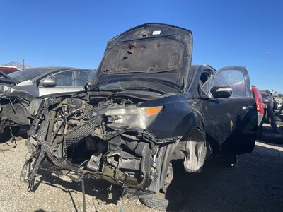 Catalog item POM061736