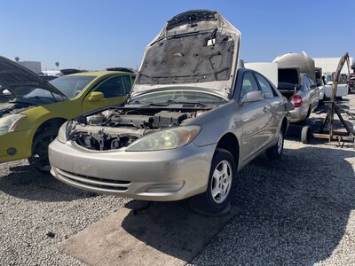 Catalog item POM062972