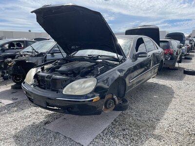 Catalog item POM063842