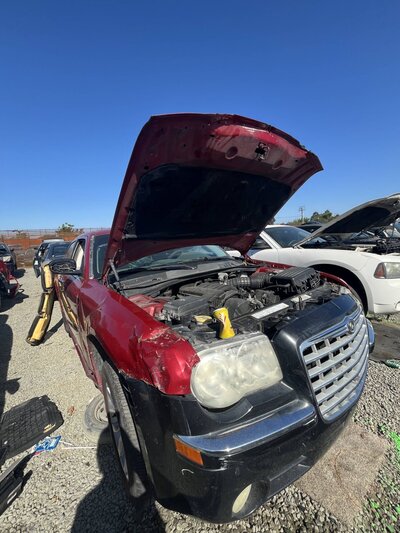 Catalog item SAC048763