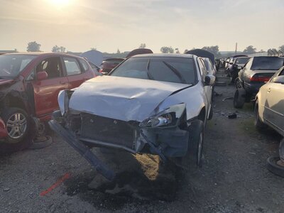 Catalog item FRE110607