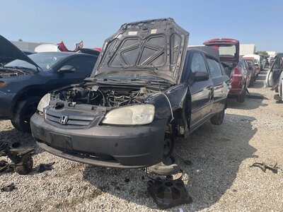 Catalog item POM063754