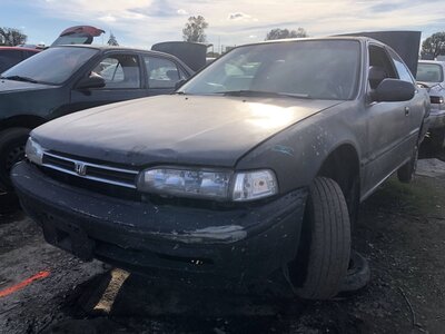 Catalog item FRE111343