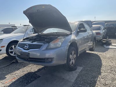 Catalog item POM063485