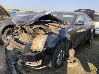 Catalog item FRE110576