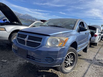 Catalog item POM062558