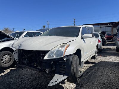 Catalog item POM062746