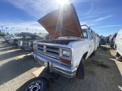 Catalog item SAC047861