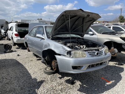 Catalog item POM063056