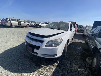 Catalog item SAC047219