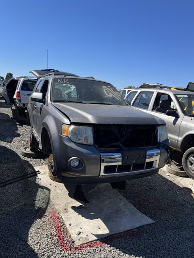 Catalog item SAC047541