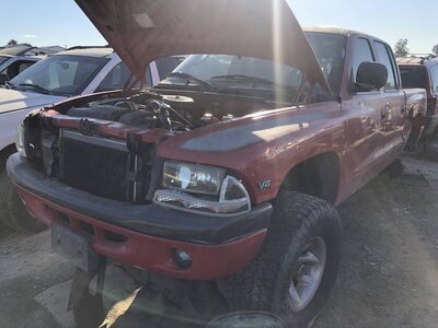 Catalog item FRE111537