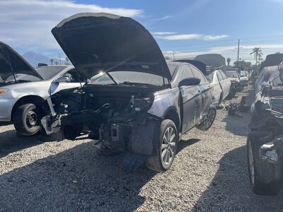 Catalog item POM062882