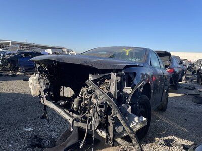 Catalog item POM061997