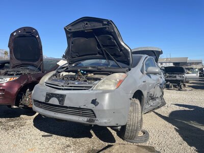 Catalog item POM061819