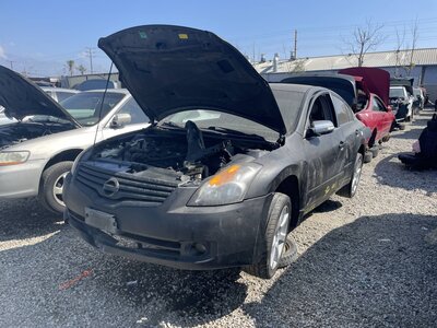 Catalog item POM062717