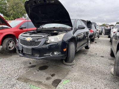 Catalog item SAC048332