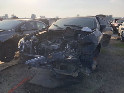 Catalog item FRE106811