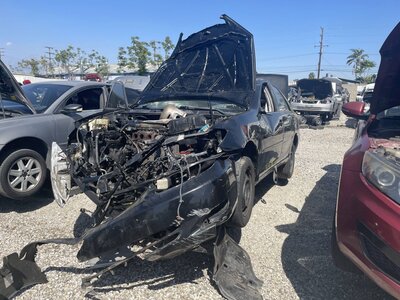 Catalog item POM063823