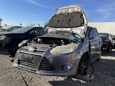 Catalog item POM060803