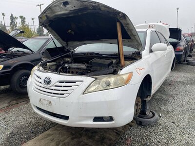 Artículo del catálogo SAC045181