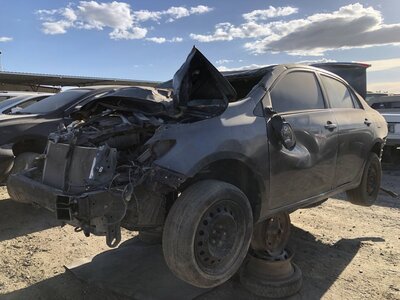 Catalog item FRE112682