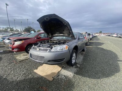 Catalog item SAC046363