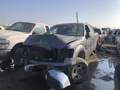 Catalog item FRE110921