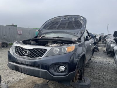 Artículo del catálogo STK055217