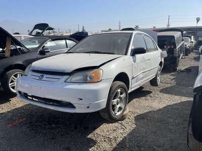 Catalog item POM063437