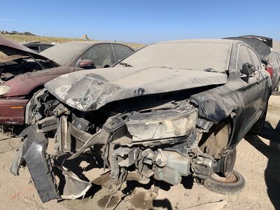 Catalog item FRE111627