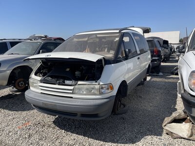 Catalog item POM063279