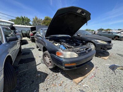 Catalog item SAC048477