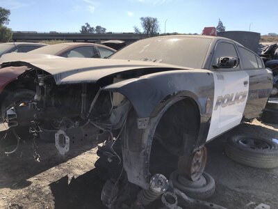 Catalog item FRE111536