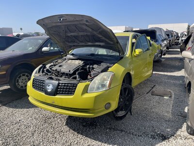 Catalog item POM062970